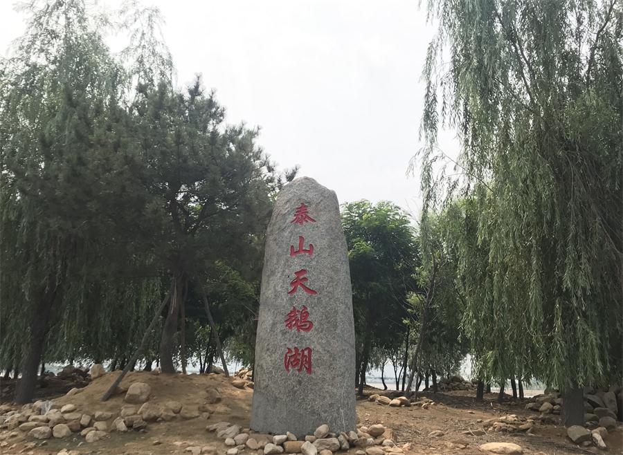 天鵝湖風景區(qū)（泰山）速覽！(圖12)