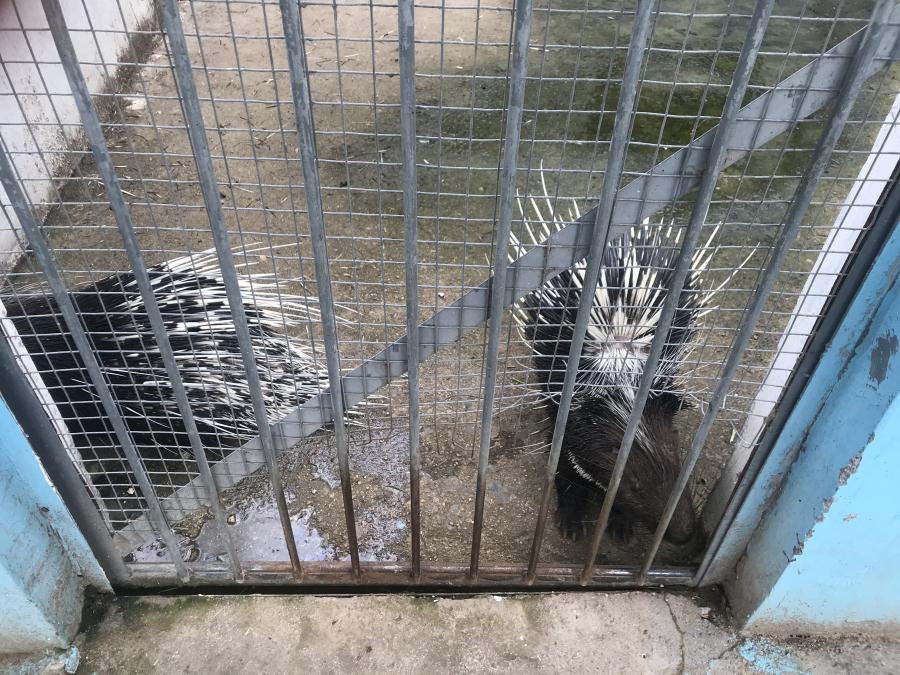 天鵝湖風景區(qū)（泰山）速覽！(圖10)