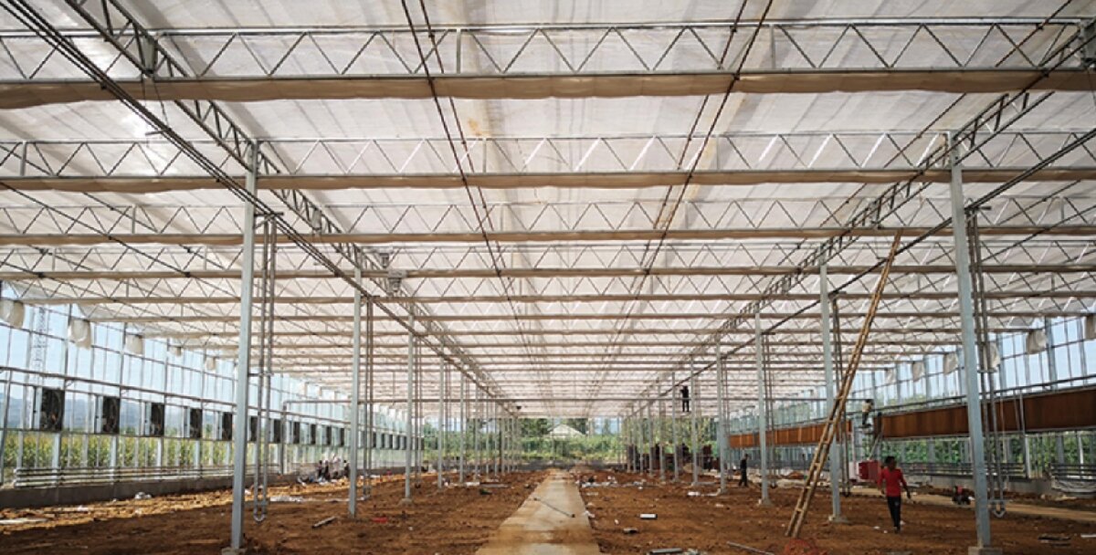 信橋鋼構(gòu)：打卡蒙陰農(nóng)業(yè)溫室大棚、青州黑牛養(yǎng)殖基地！(圖3)